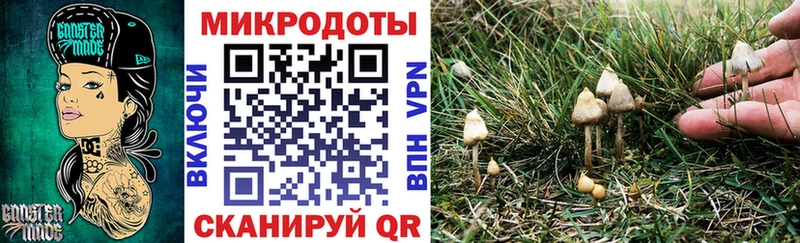 Псилоцибиновые грибы ЛСД  Купить  Суоярви 